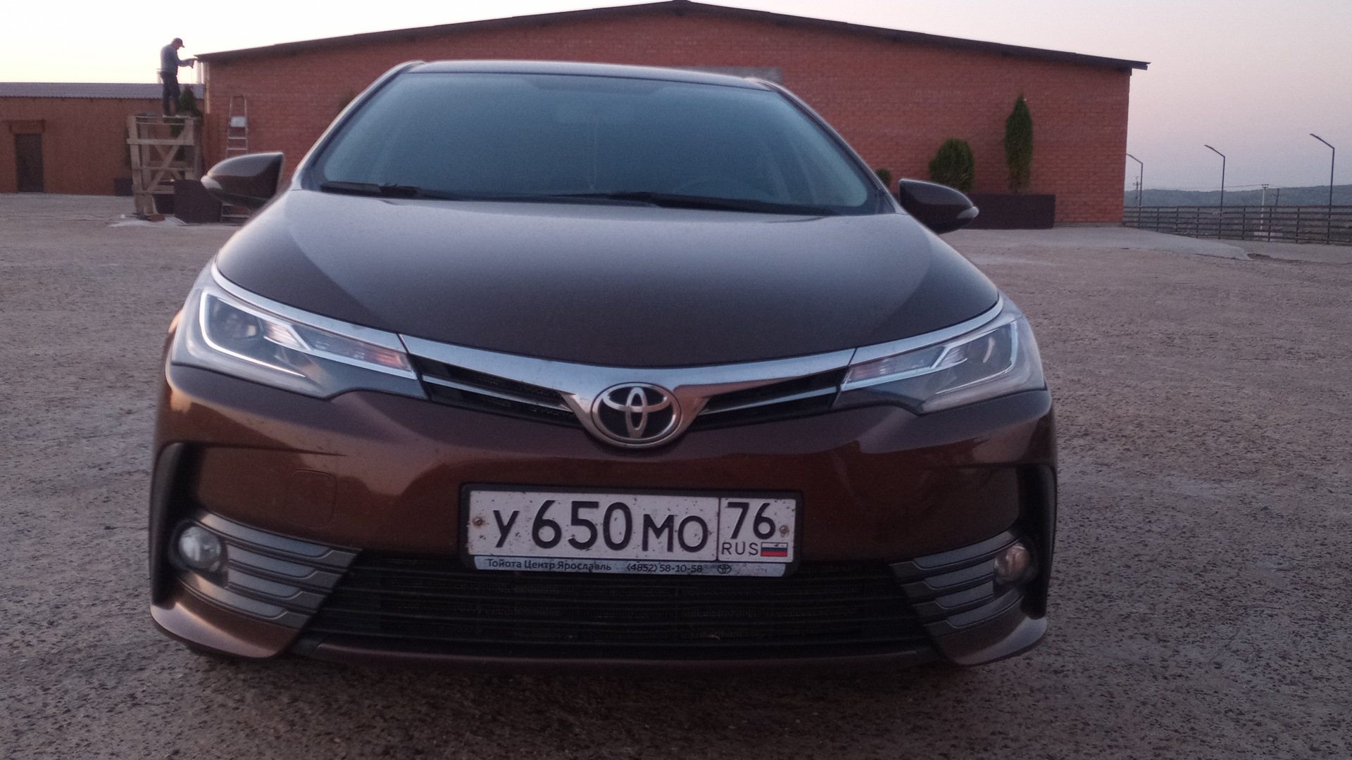 Toyota Corolla (160) 1.6 бензиновый 2016 | на DRIVE2