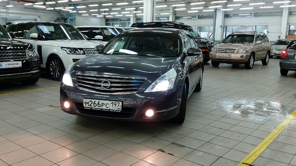 Звук при вращении руля — Nissan Teana (J32), 2,5 л, 2011 года ...