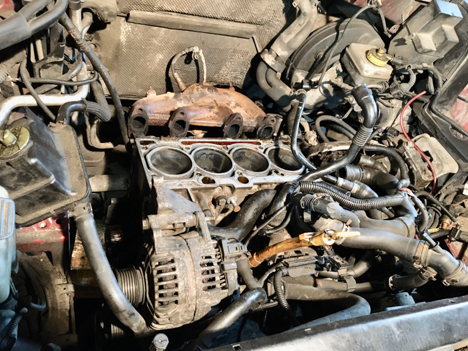 Фото в бортжурнале Skoda Octavia A4 Mk1