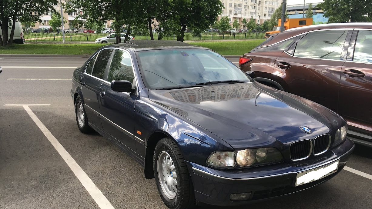 BMW 5 series (E39) 2.8 бензиновый 1998 Дельфин на DRIVE2