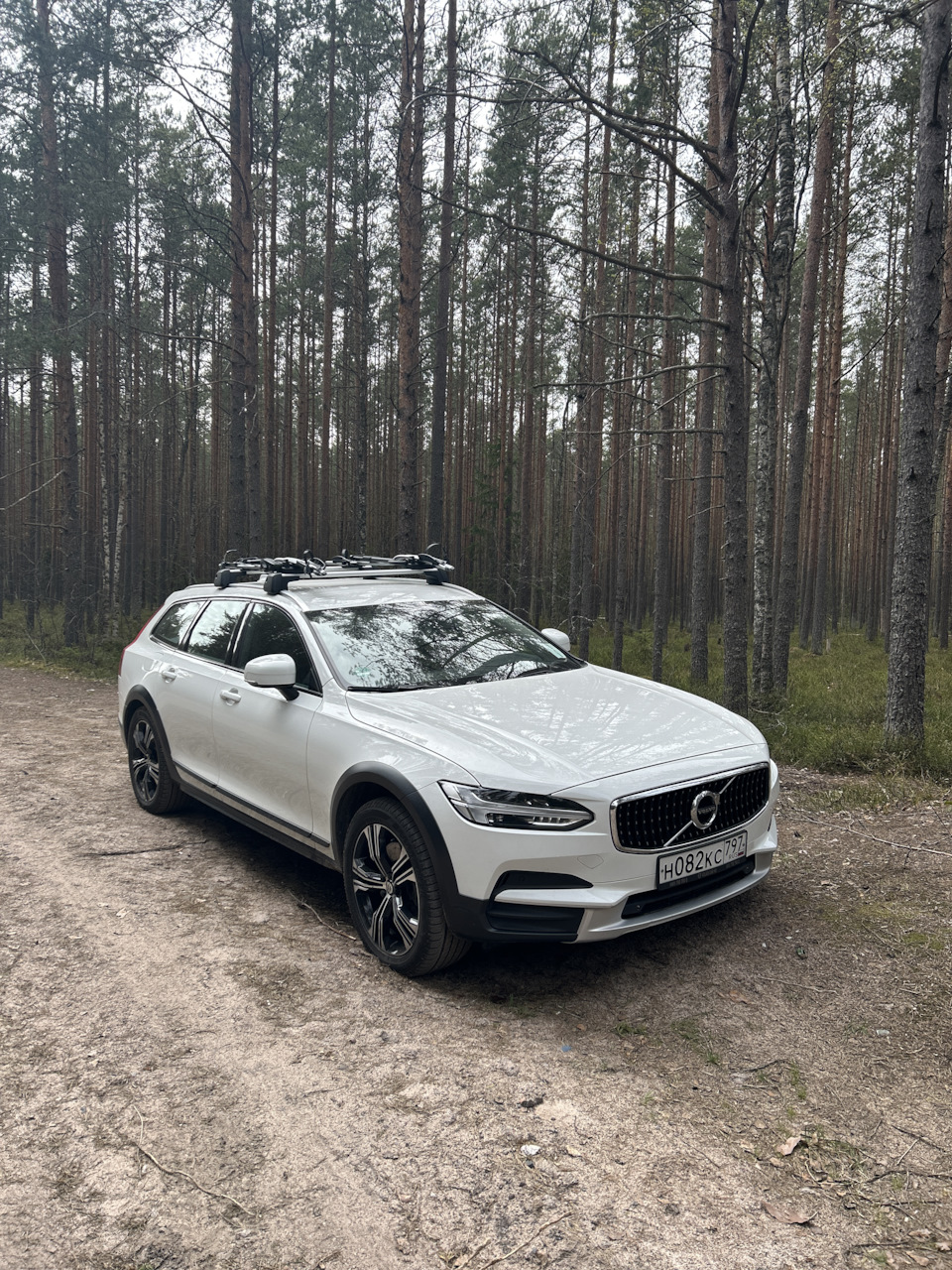 с болота… — Volvo V90 Cross Country, 2 л, 2017 года | наблюдение | DRIVE2