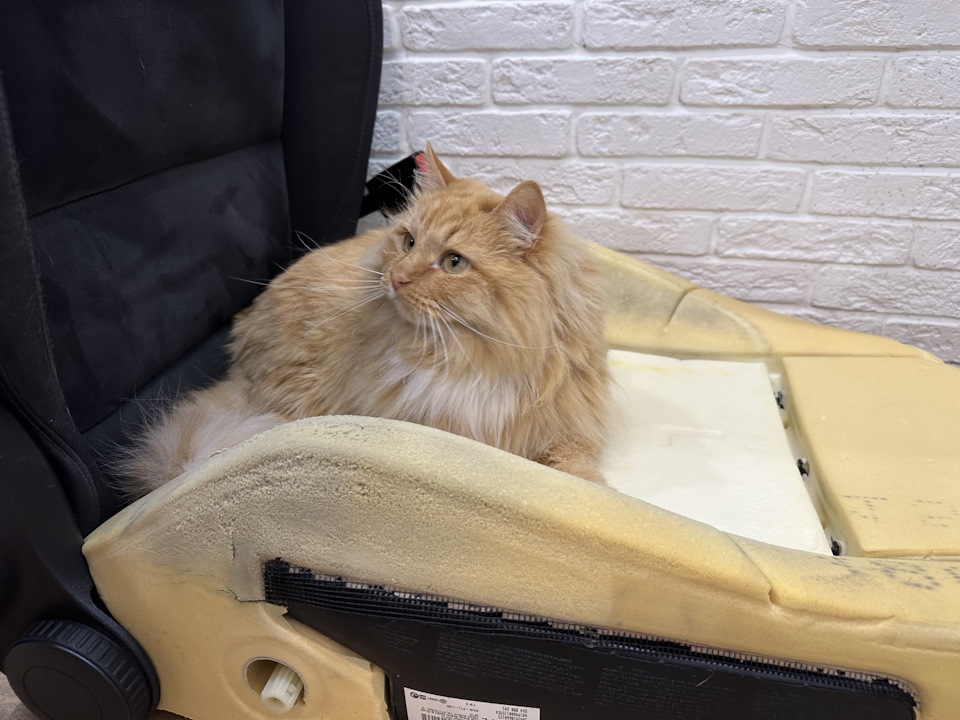 Ремонт боковины сиденья — Volkswagen Golf Mk6, 1,4 л, 2010 года ...