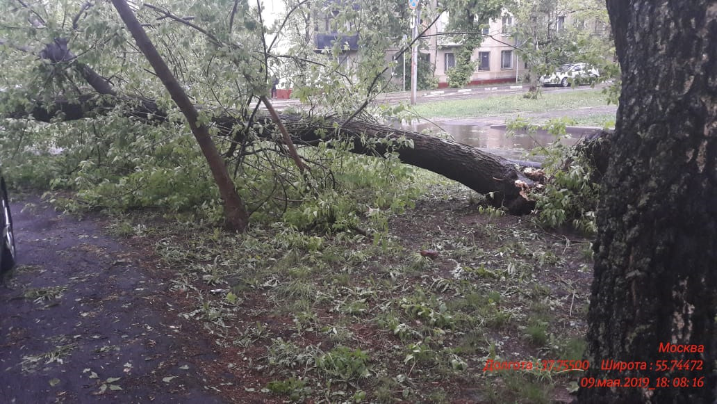 Московский ураган в мае 2017. Ураган, июнь 1998. Москва ураган 20. Ураган в москве (2017). Москва ураган 20.