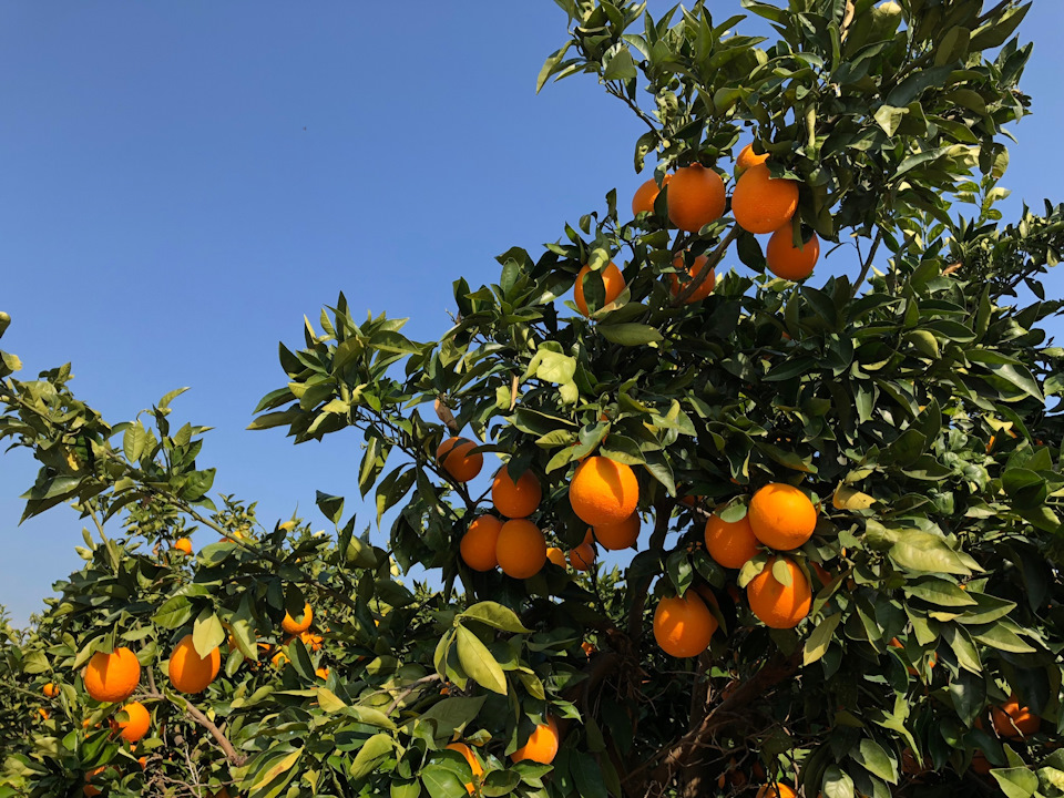 Фото в бортжурнале Suzuki Jimny (1G)