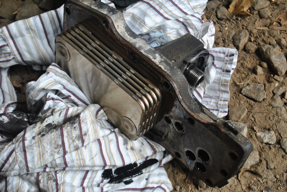 Фото в бортжурнале DAF LF 45 (150)