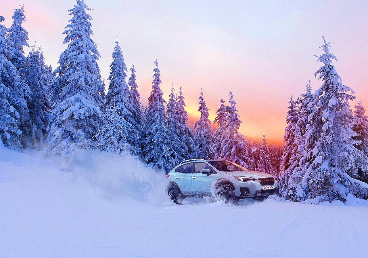 Зимняя подборка. Зима подборка. Subaru 2020 зима реклама. Реклама Субару зимой. Subaru 2020 зима дом.