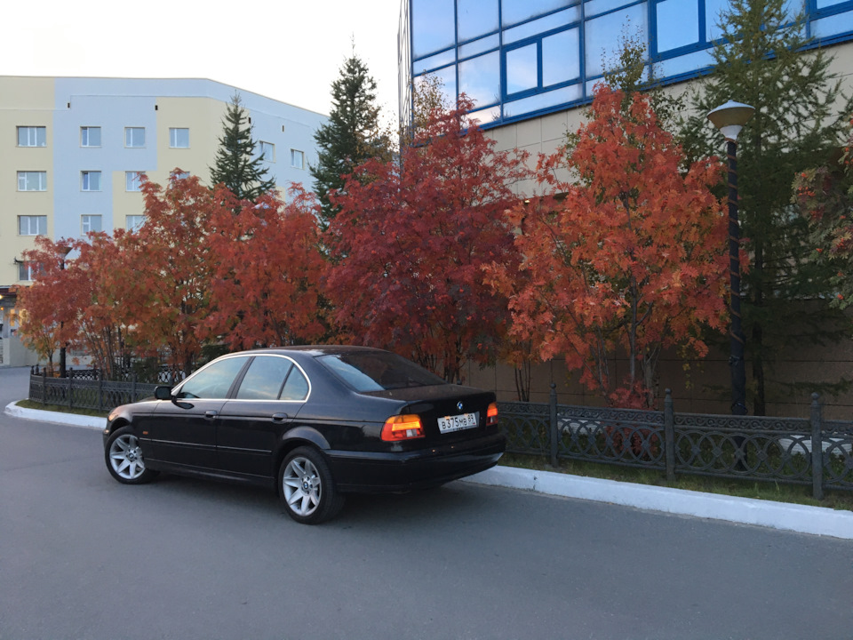 Фото в бортжурнале BMW 5 series (E39)