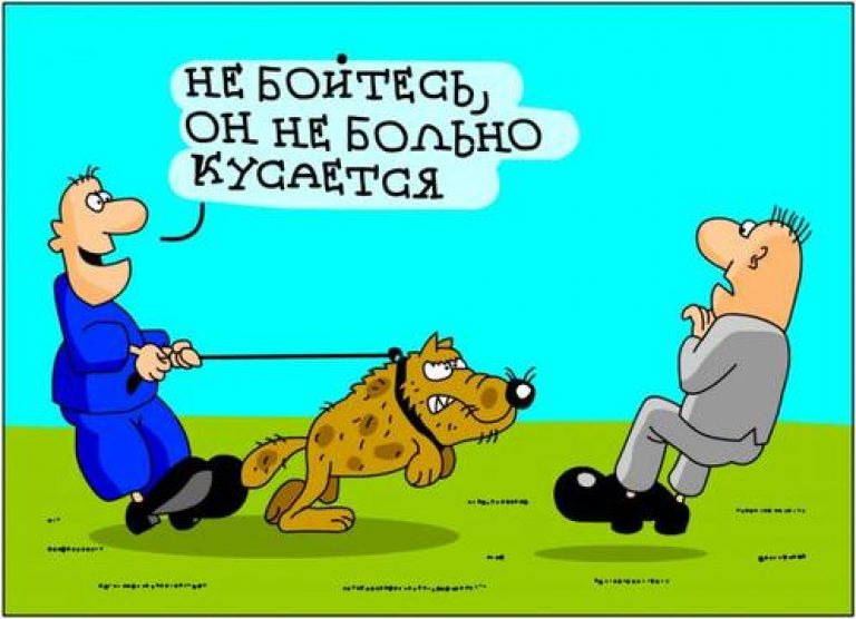Глупый хозяин. Анекдоты про собак. Собака карикатура. Карикатуры про собак и хозяев. Анекдоты про собак смешные.