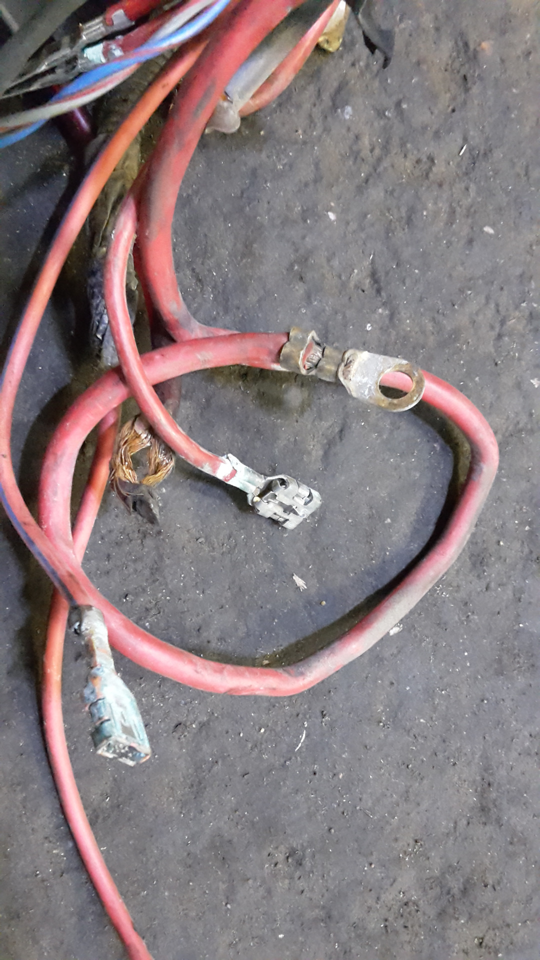 Дело было не в ТНВД. Электрика. Плюс умерли коромысла. — Ford Transit ...