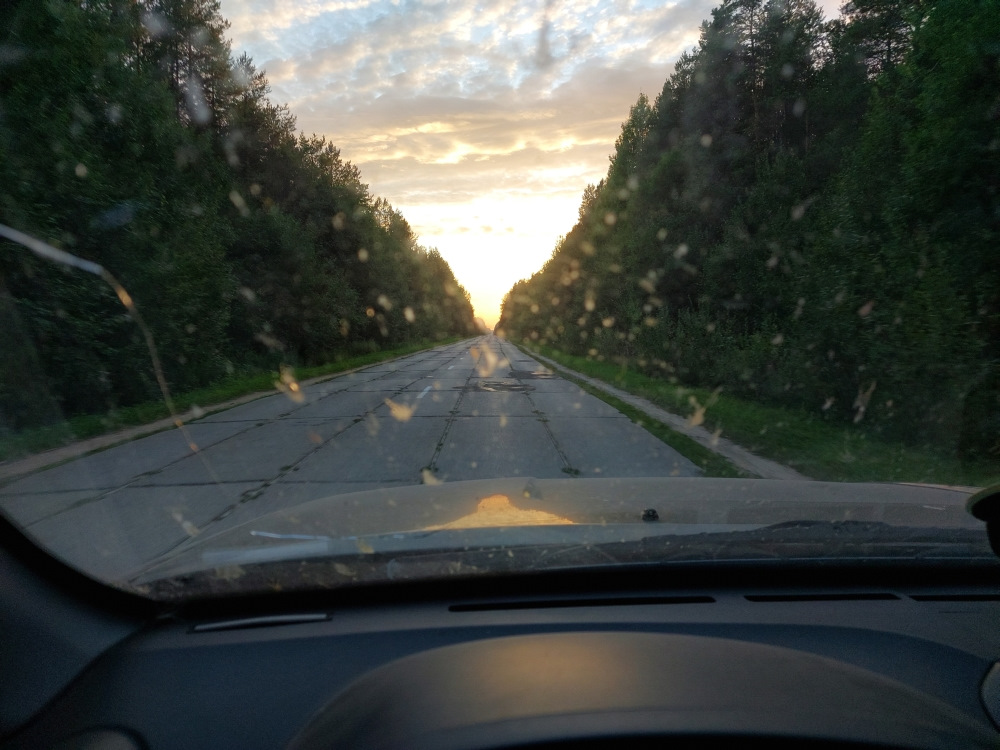 Первый дорога. Вид из машины на дорогу летом днем.