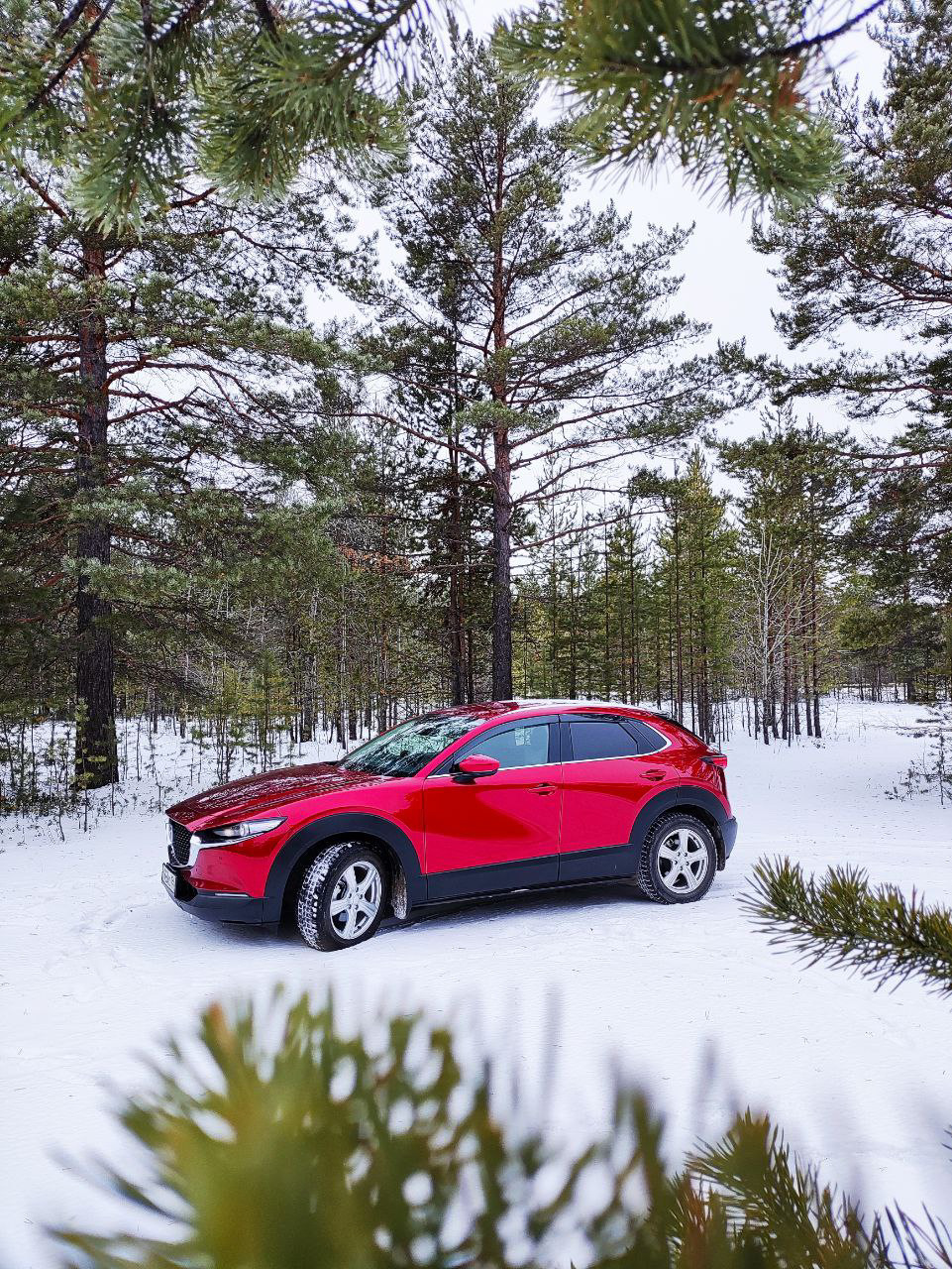 Дизельная Mazda зимой и в целом наблюдения по машине — Mazda CX-30, 1,8 л,  2020 года | наблюдение | DRIVE2