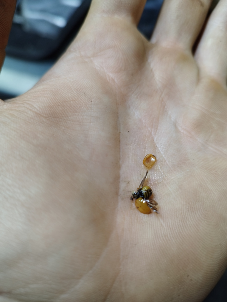 Проверка сеточки на бензонасосе — Lada 2115, 1,5 л, 2004 года | просто ...