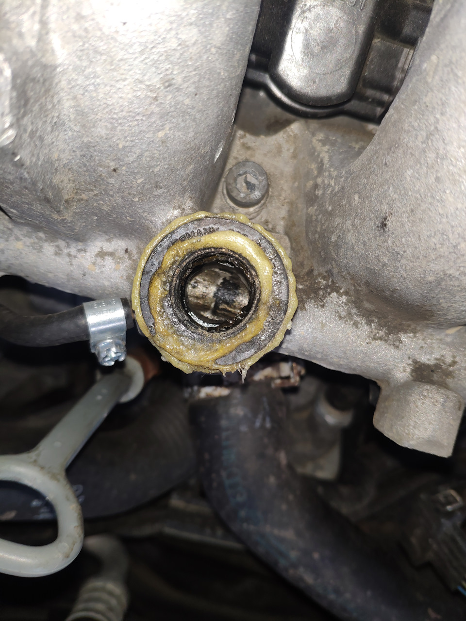 Скрипит шаровая опора киа сид - 92 фото