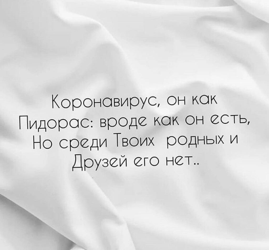 половинки бывают только у мозга у жопы (118) фото