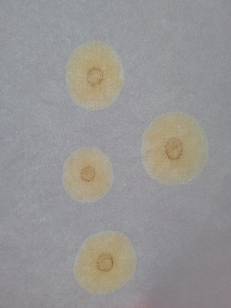 Капельный анализ масла Valvoline Max-Life после пробега 8000км ...