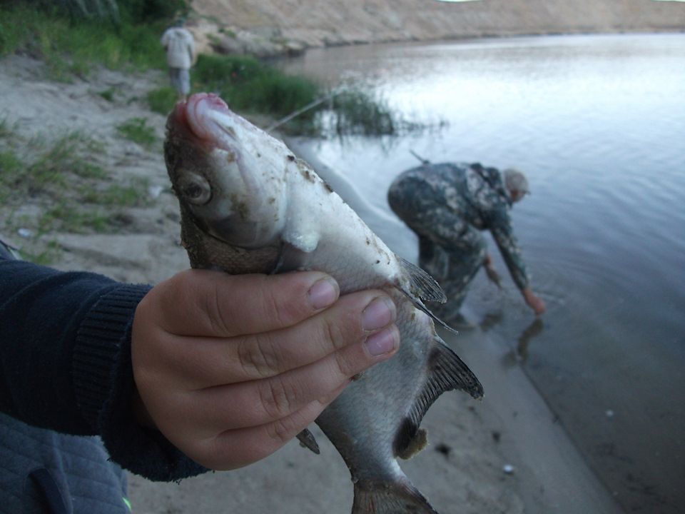 И снова Дон… — Renault Duster (1G), 2 л, 2016 года | покатушки | DRIVE2