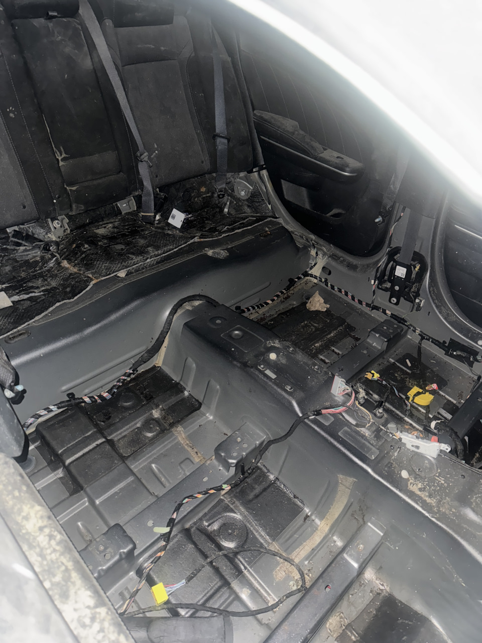 Photo from the logbook Dodge Charger (7G)