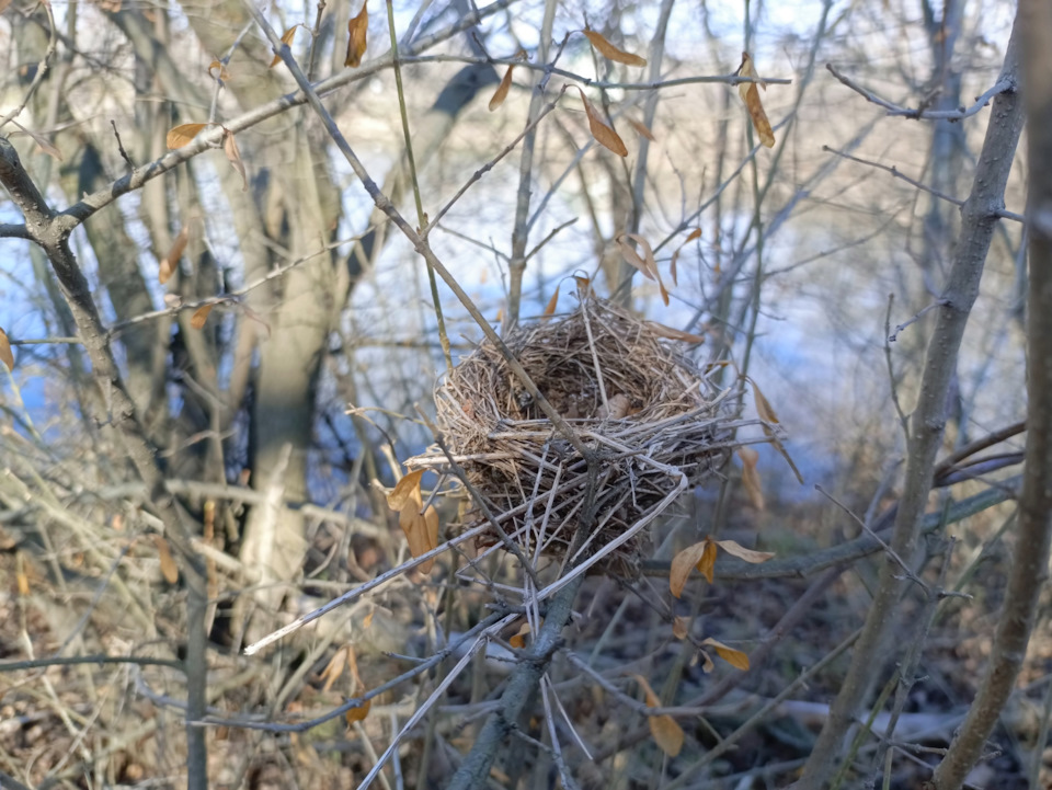 Фото в бортжурнале УАЗ Patriot