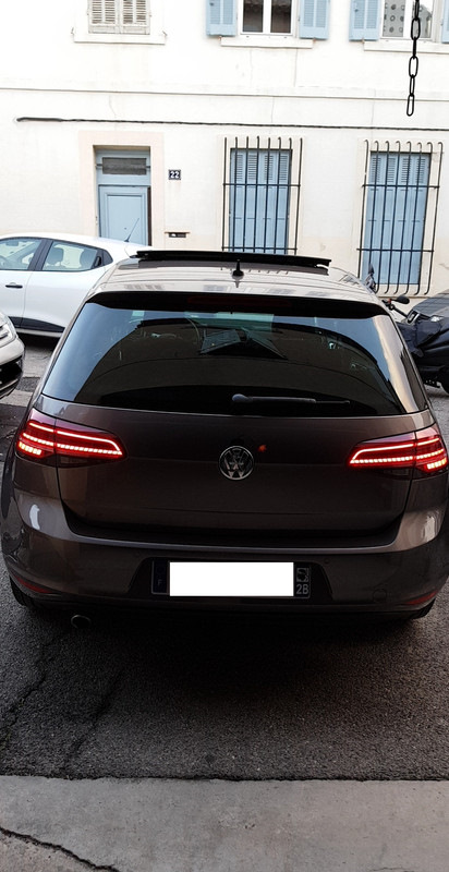 cascade Uitgang collegegeld The famous LED FACELIFT Dynamic tail lights on my golf 7 from 2014 which  had original halogen lights — Volkswagen Golf, 1.2 liter, 2014 year on  DRIVE2