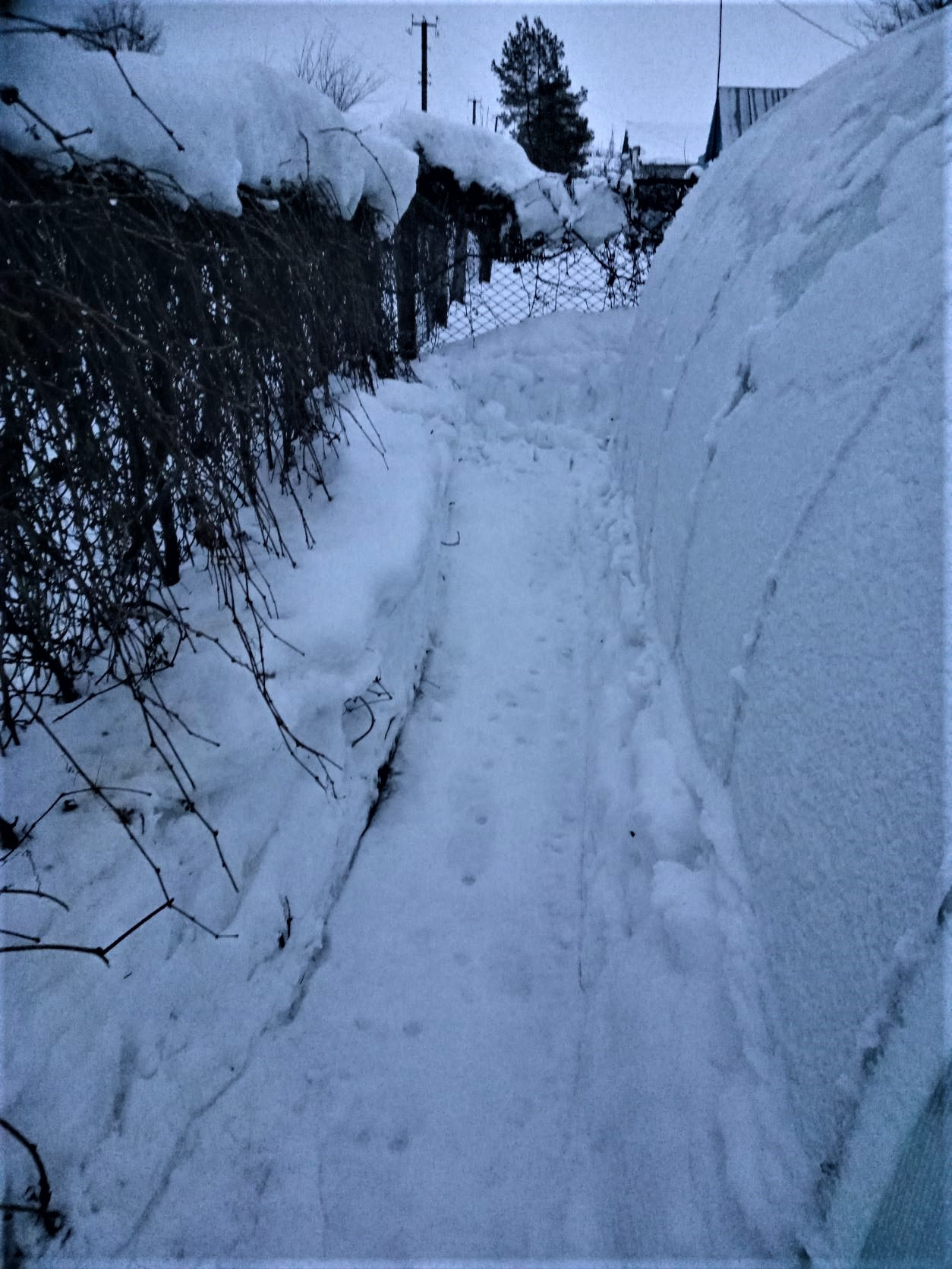 Ремонт снегоуборщика. — Сообщество «DRIVE2 На Даче» на DRIVE2