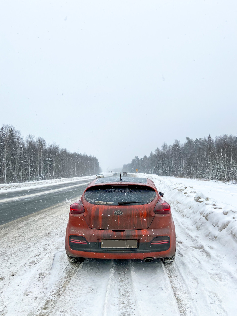 Москва-Владимир-Суздаль — KIA Pro_Ceed (2G), 1,6 л, 2014 года | путешествие  | DRIVE2