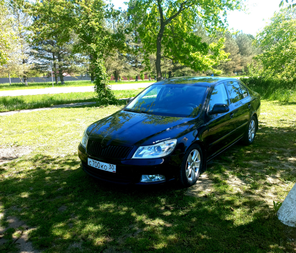 Решетка радиатора в цвет авто — Skoda Octavia A5 Mk2, 1,8 л, 2011 года |  стайлинг | DRIVE2