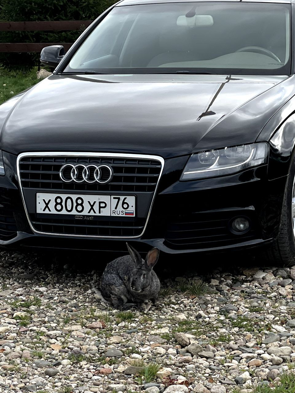 Какую резину ставить? — Audi A4 (B8), 1,8 л, 2011 года | шины | DRIVE2