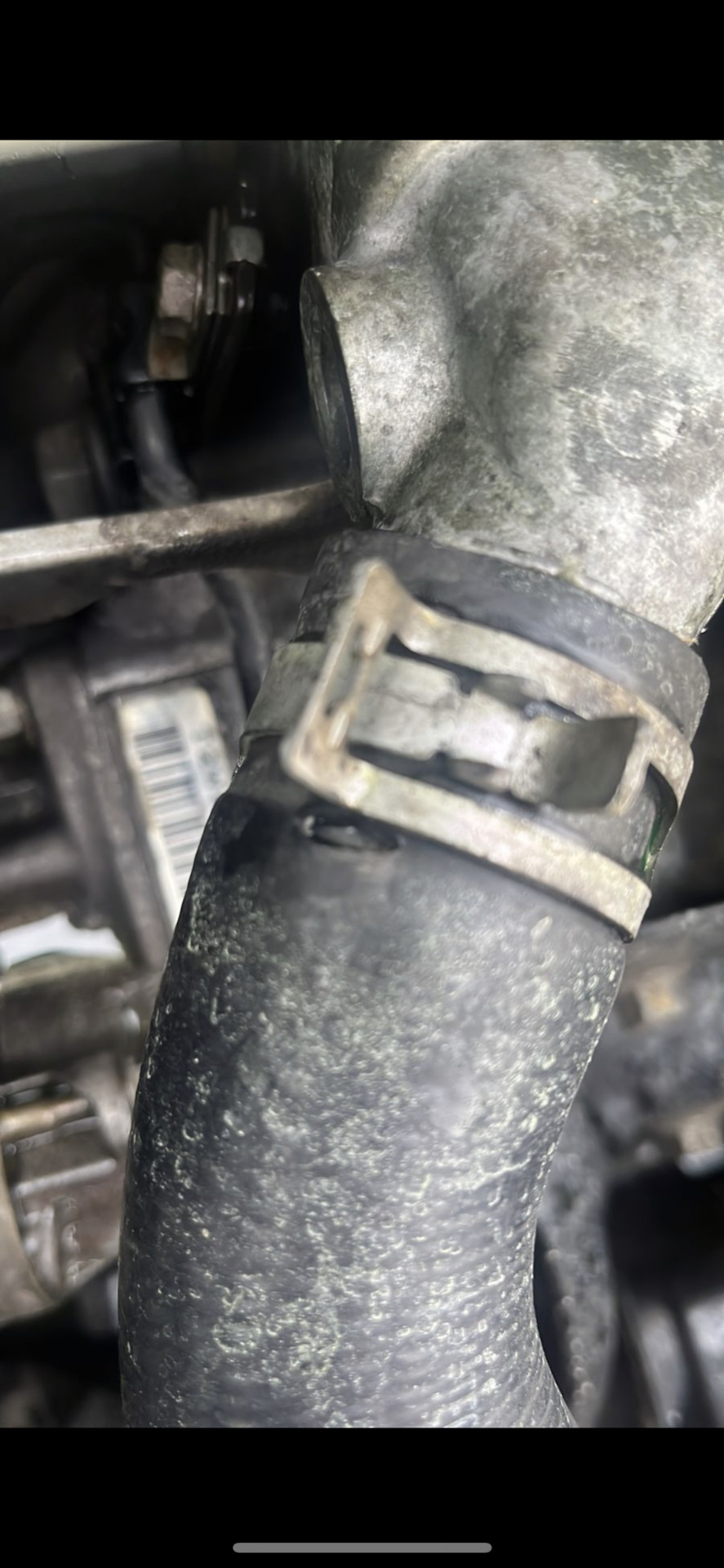 Замена подушек и шлангов охлаждения. — Honda Torneo, 2 л, 1999 года ...