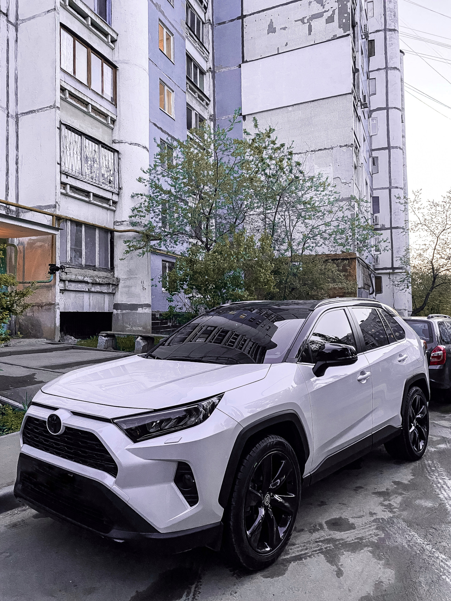 Колёса р21. Антихром, выхлоп и прочее — Toyota RAV4 (5G), 2,5 л, 2021 года  | стайлинг | DRIVE2