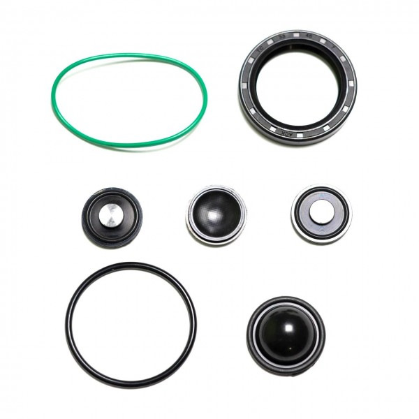 Ремкомплект ТНВД GM Opel z22yh 2.2 и Peugeot, Citroen 2.0 HPi 93174538 ...