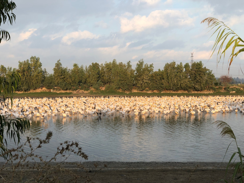 Фото в бортжурнале Suzuki Jimny (1G)