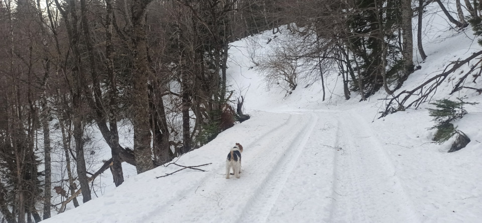 Фото в бортжурнале Mitsubishi Pajero (4G)