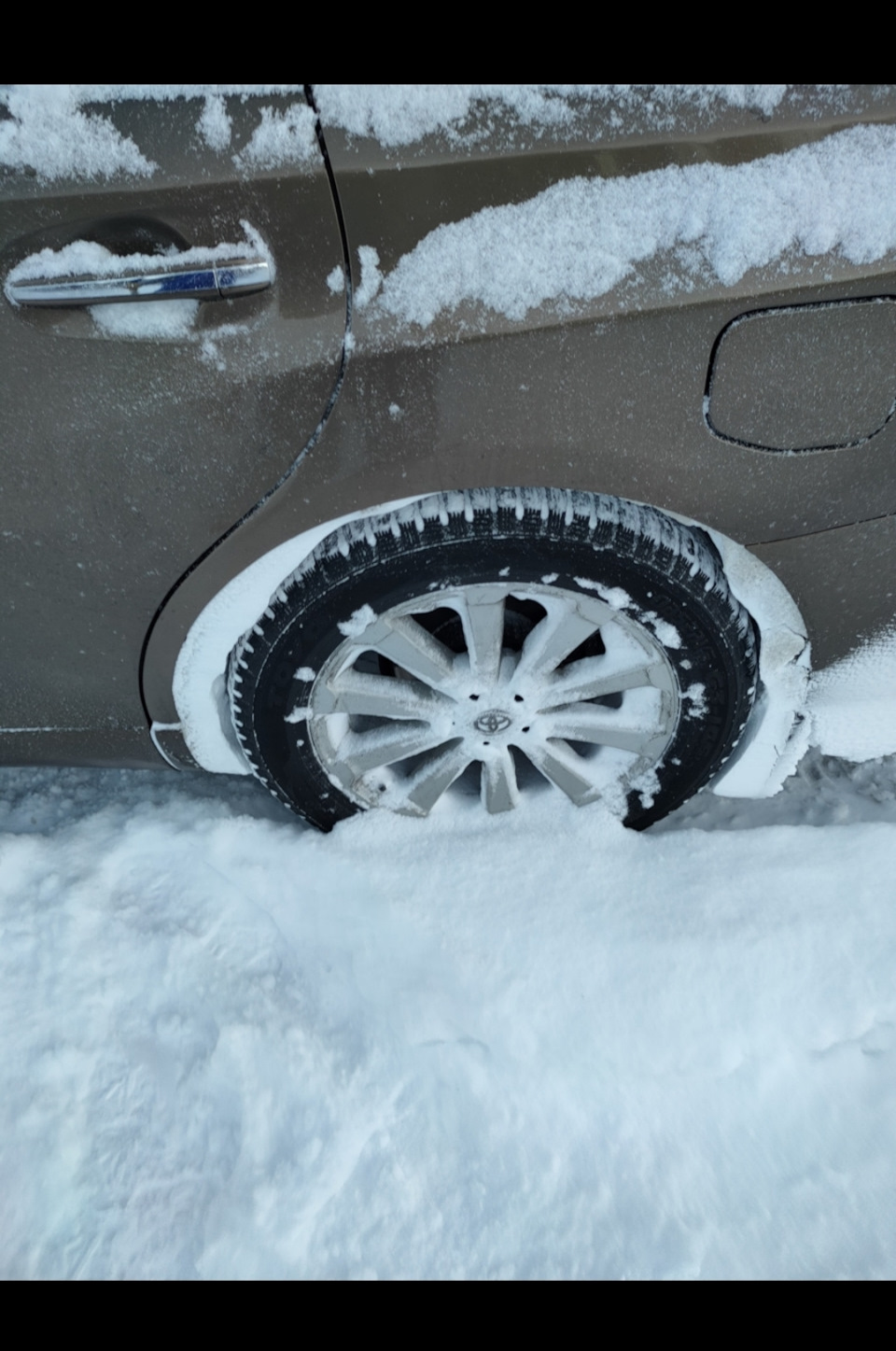 Фото в бортжурнале Toyota Venza (1G)