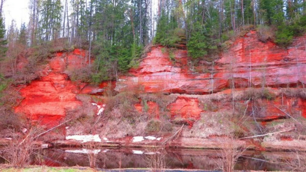 Каньон реки оредеж. Девонский обрыв ленинградская область. Девонский обрыв оредеж. Каньон реки оредеж. Хотнежа лемовжа.