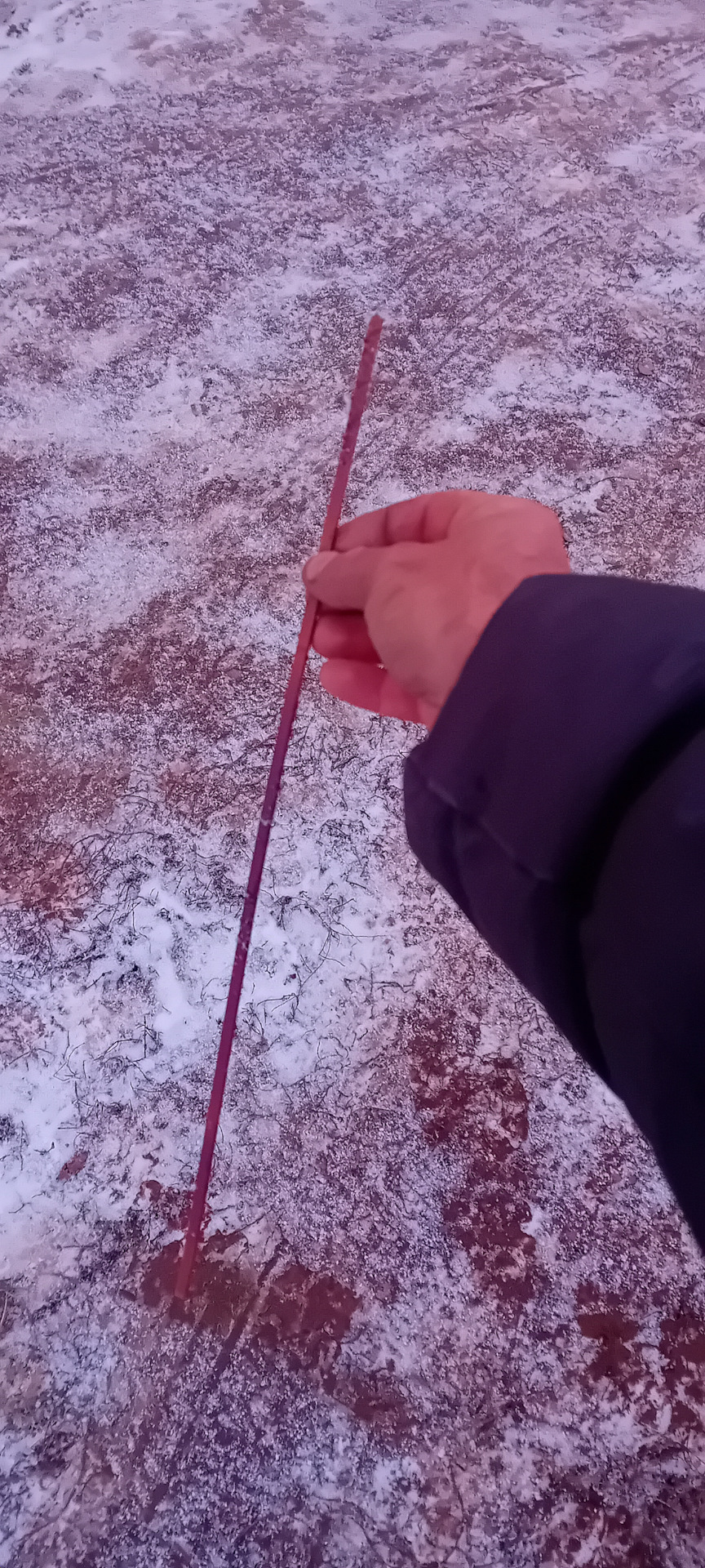 Фото в бортжурнале Renault Logan Stepway