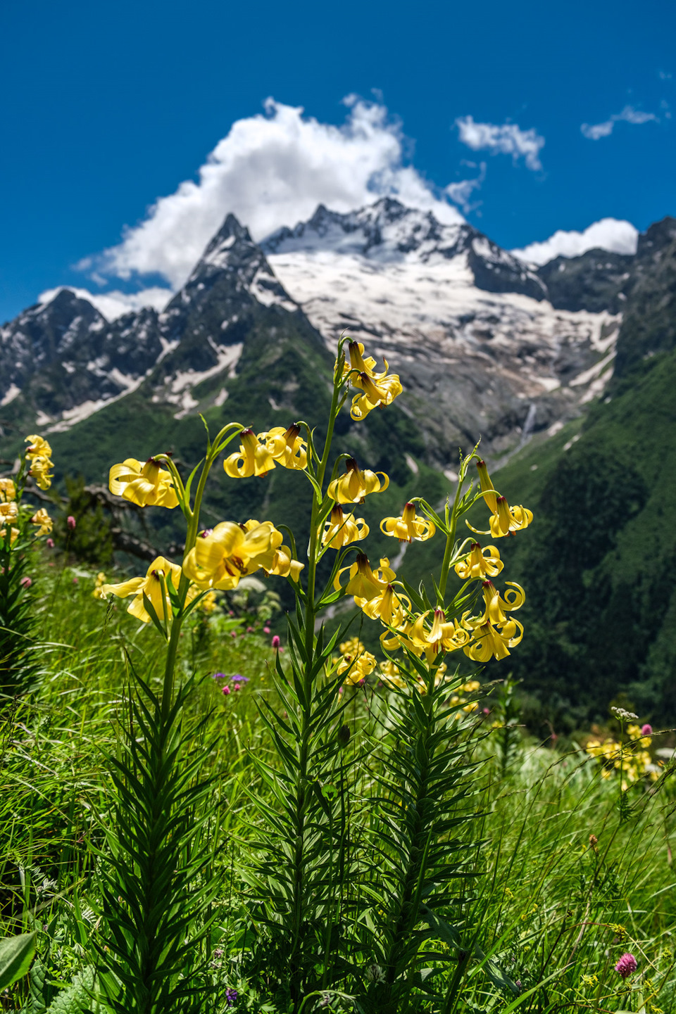 Фото в бортжурнале Renault Kaptur (2020)