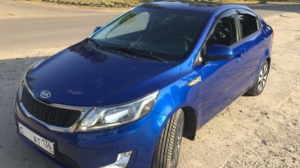 KIA Rio Indigo-Cat