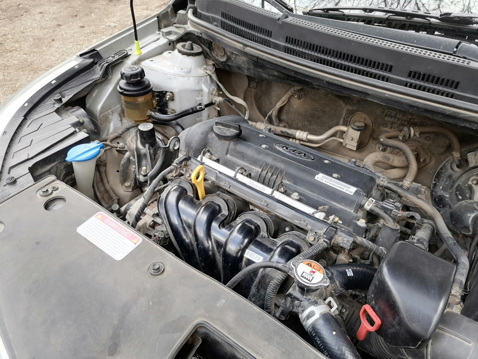 Фото в бортжурнале KIA Rio 5-door (3G)