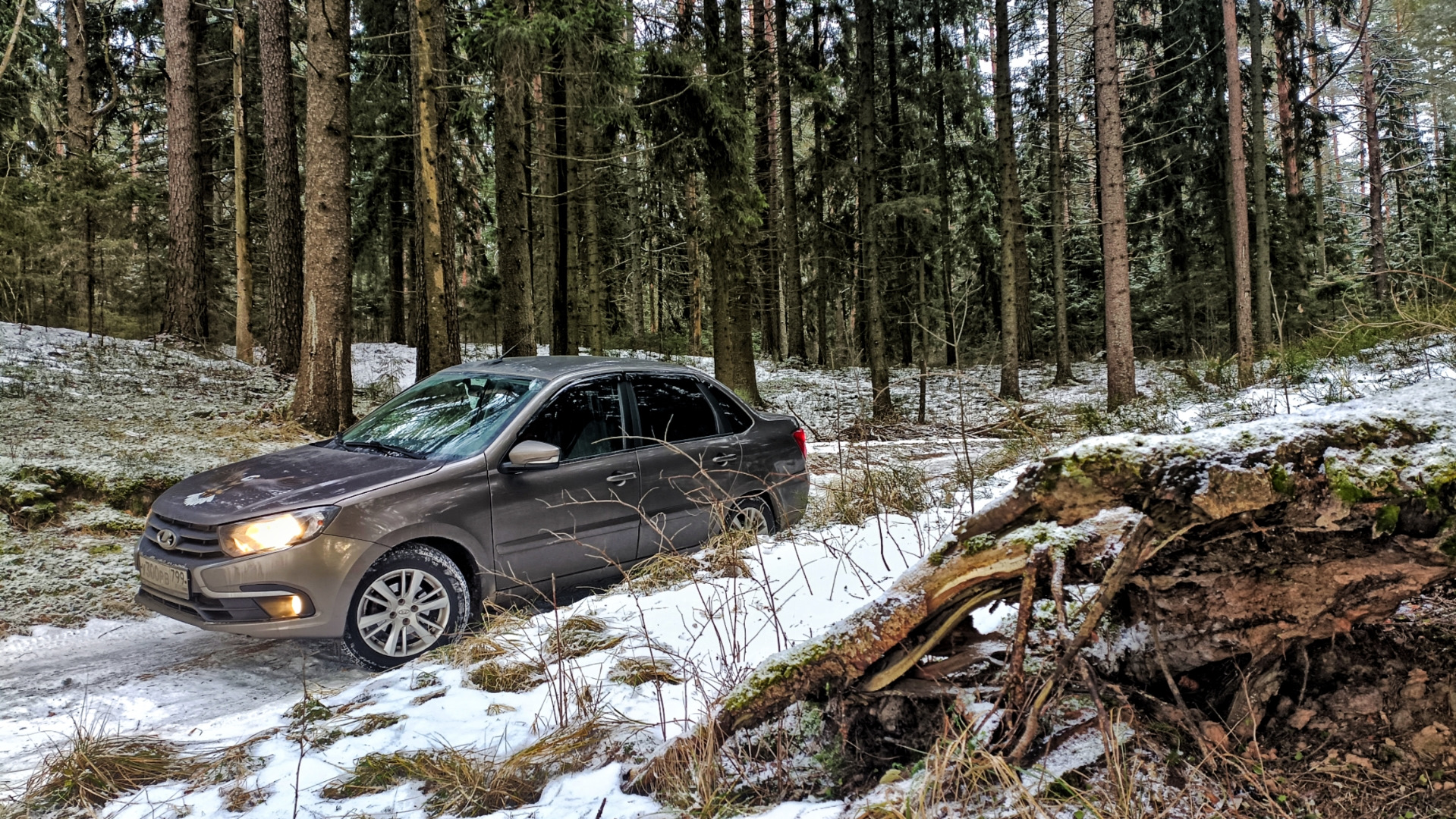 Фото на Природе (Западная Двина) — Lada Гранта (2G) FL, 1,6 л, 2019 года |  фотография | DRIVE2