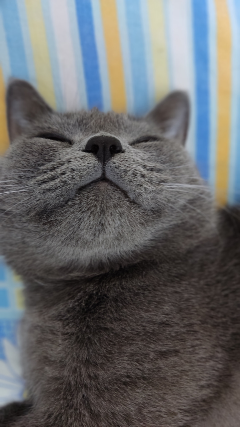 Рессорная щетка стеклоочистителя что это. vvIOwUWhf7 MY a NdXR1tAj5Ig 960. Рессорная щетка стеклоочистителя что это фото. Рессорная щетка стеклоочистителя что это-vvIOwUWhf7 MY a NdXR1tAj5Ig 960. картинка Рессорная щетка стеклоочистителя что это. картинка vvIOwUWhf7 MY a NdXR1tAj5Ig 960. Дворники различаются не только своей ценой, но и моделью или фирмой производителем.На каких же дворниках остановить свой остаточный выбор? Рессорная щетка стеклоочистителя что это. vvIOwUWhf7 MY a NdXR1tAj5Ig 960. Рессорная щетка стеклоочистителя что это фото. Рессорная щетка стеклоочистителя что это-vvIOwUWhf7 MY a NdXR1tAj5Ig 960. картинка Рессорная щетка стеклоочистителя что это. картинка vvIOwUWhf7 MY a NdXR1tAj5Ig 960. Дворники различаются не только своей ценой, но и моделью или фирмой производителем.На каких же дворниках остановить свой остаточный выбор?