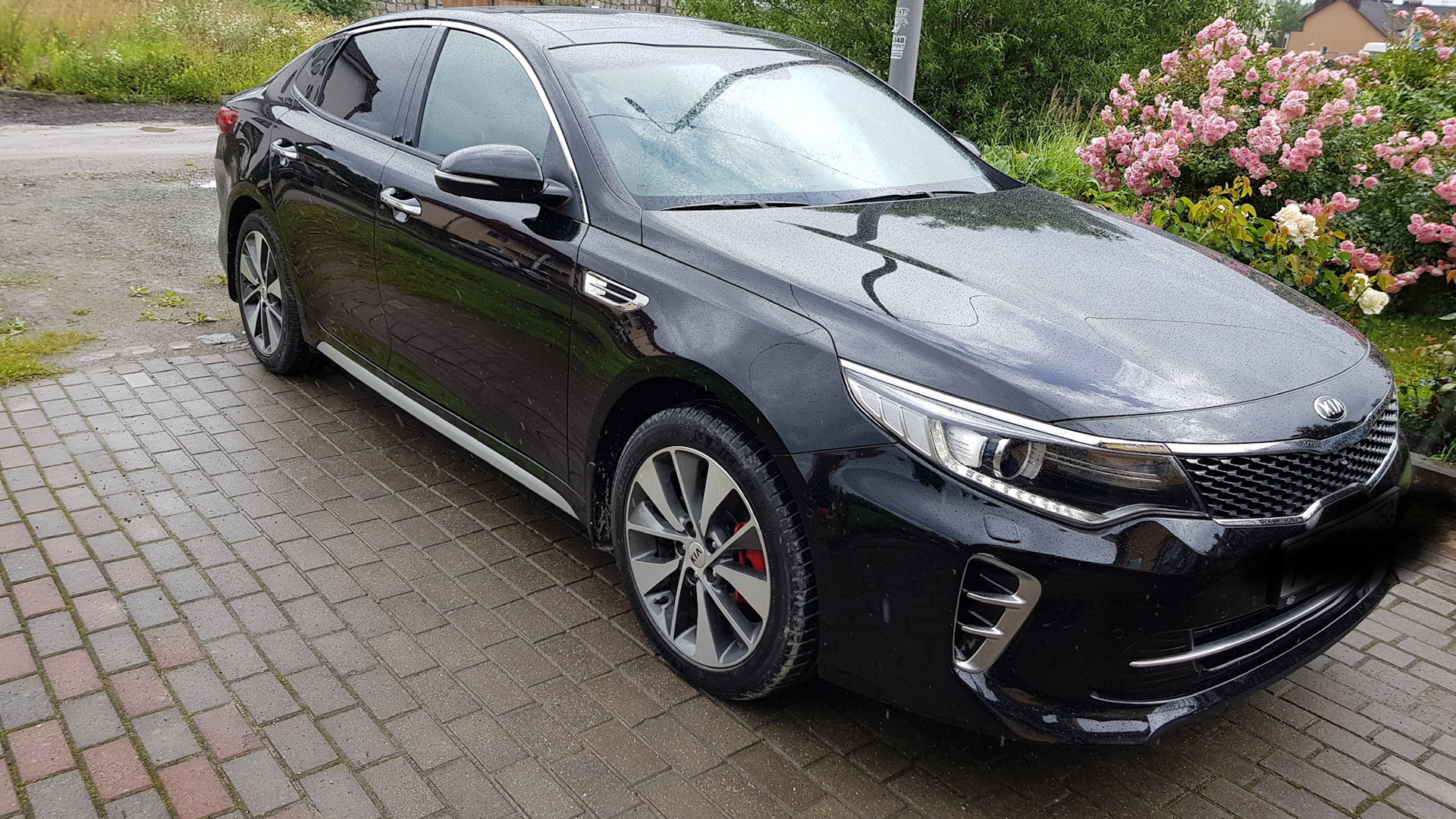 KIA Optima (4G) 2.4 бензиновый 2016 | Чёрная , 2.4 gt line на DRIVE2