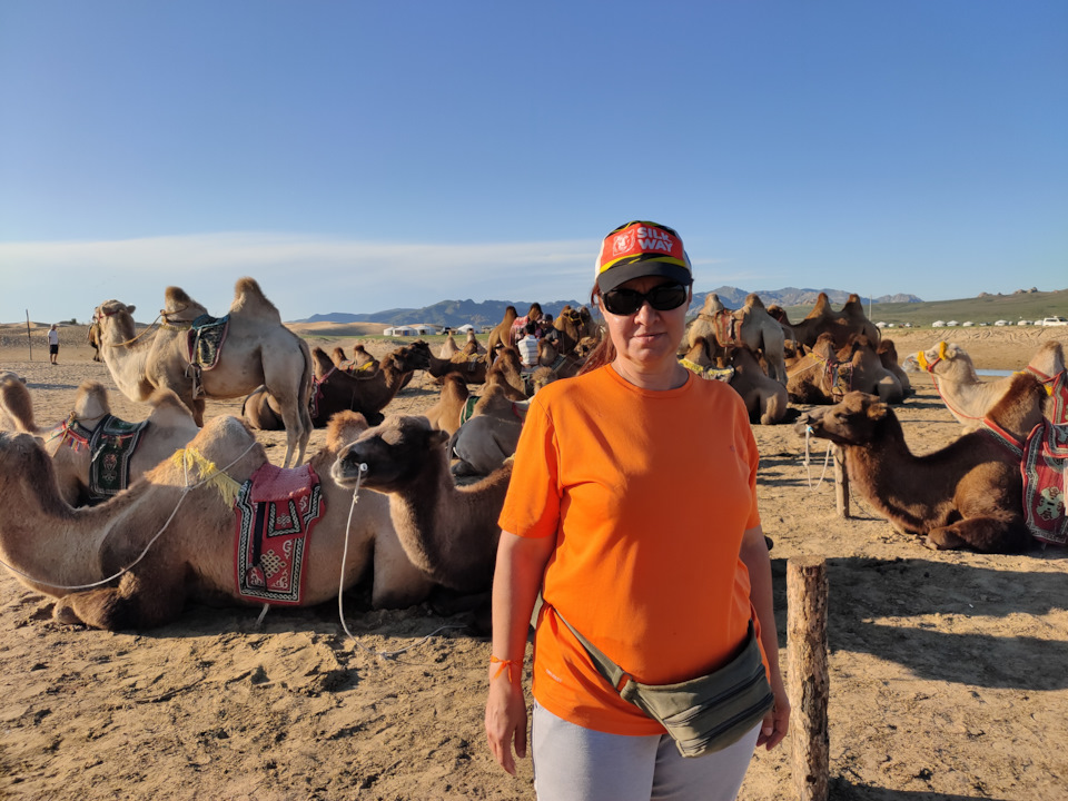 Погонщица верблюдов )) — Subaru Impreza (GD/GG)