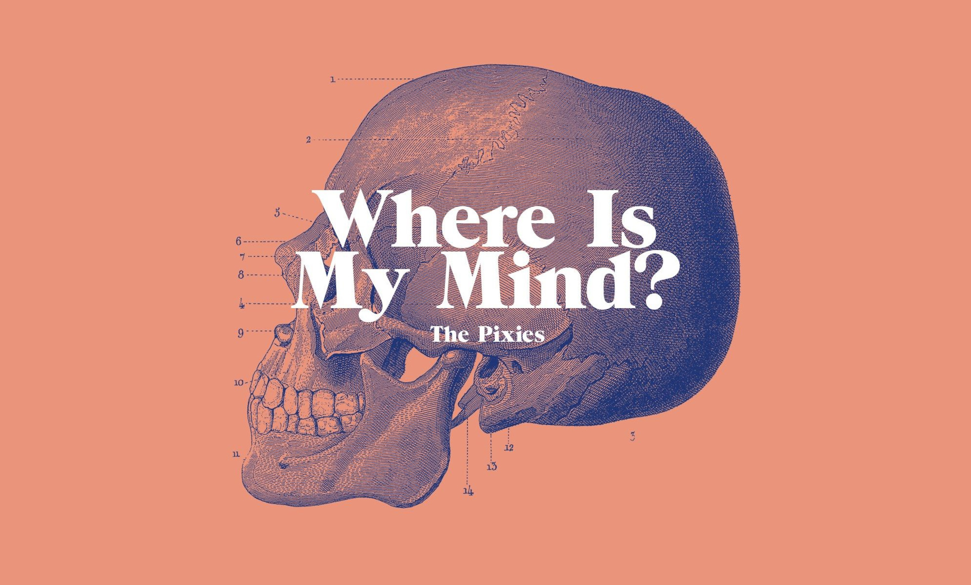 Where is my head. Where is my Mind. Pixies where is my Mind. Where is my Mind обложка. Where is my Mind альбом.