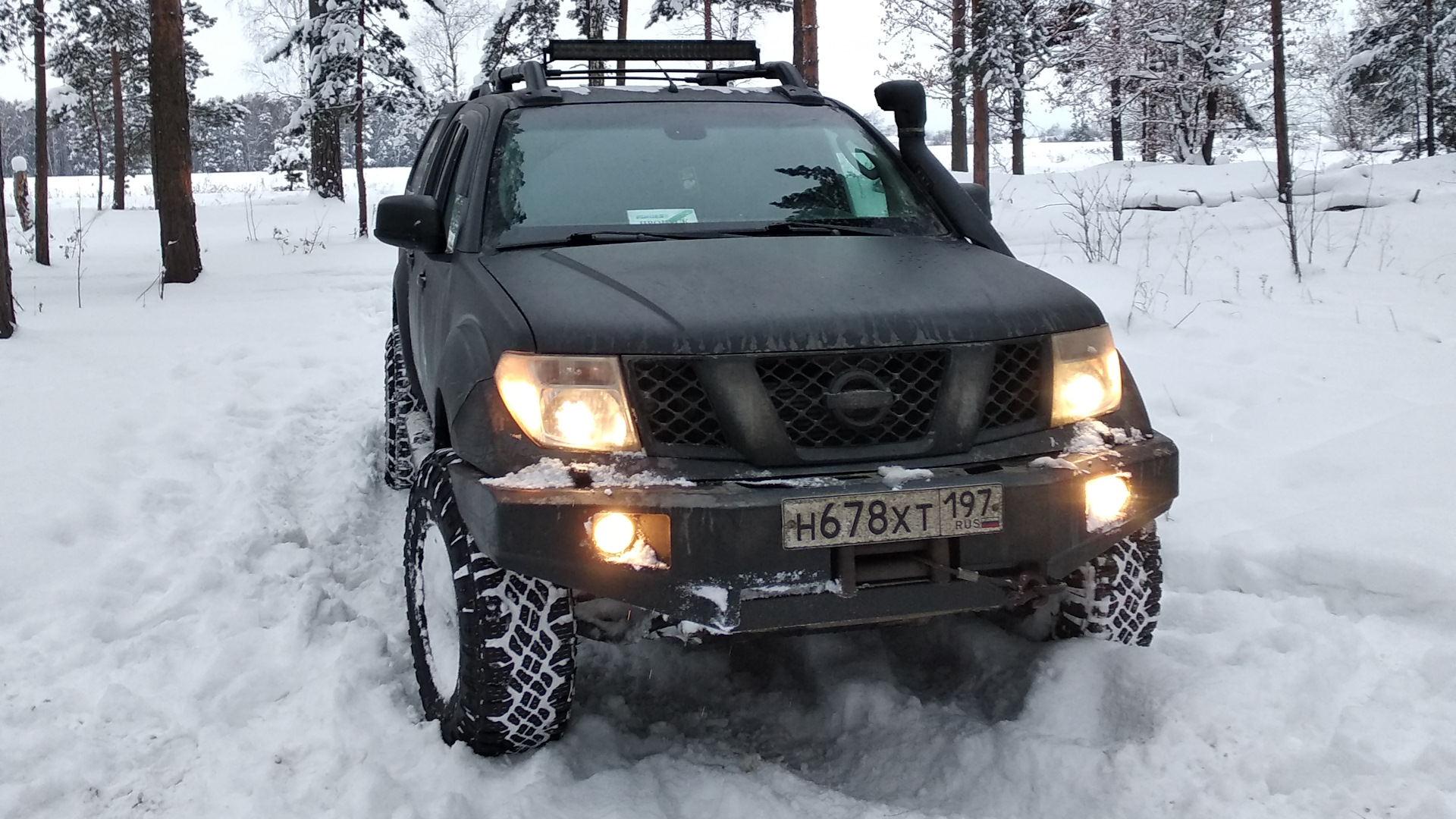 Nissan Navara (2G) 2.5 дизельный 2008 | Суровая Дама на DRIVE2