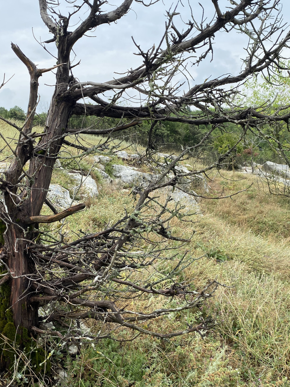 Фото в бортжурнале Mazda CX-5 (2G)