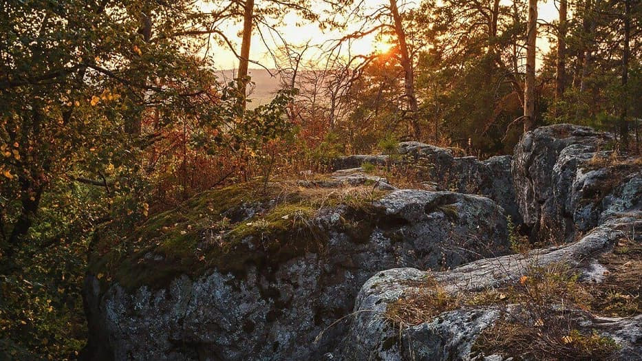 Рачейский бор самарская область осенью фото