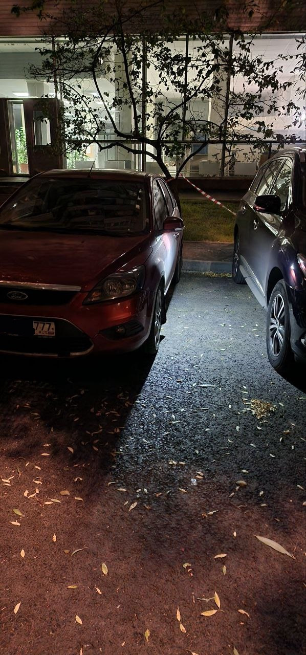Подсветка в зеркалах — Ford Focus Hatchback II, 2 л, 2010 года ...