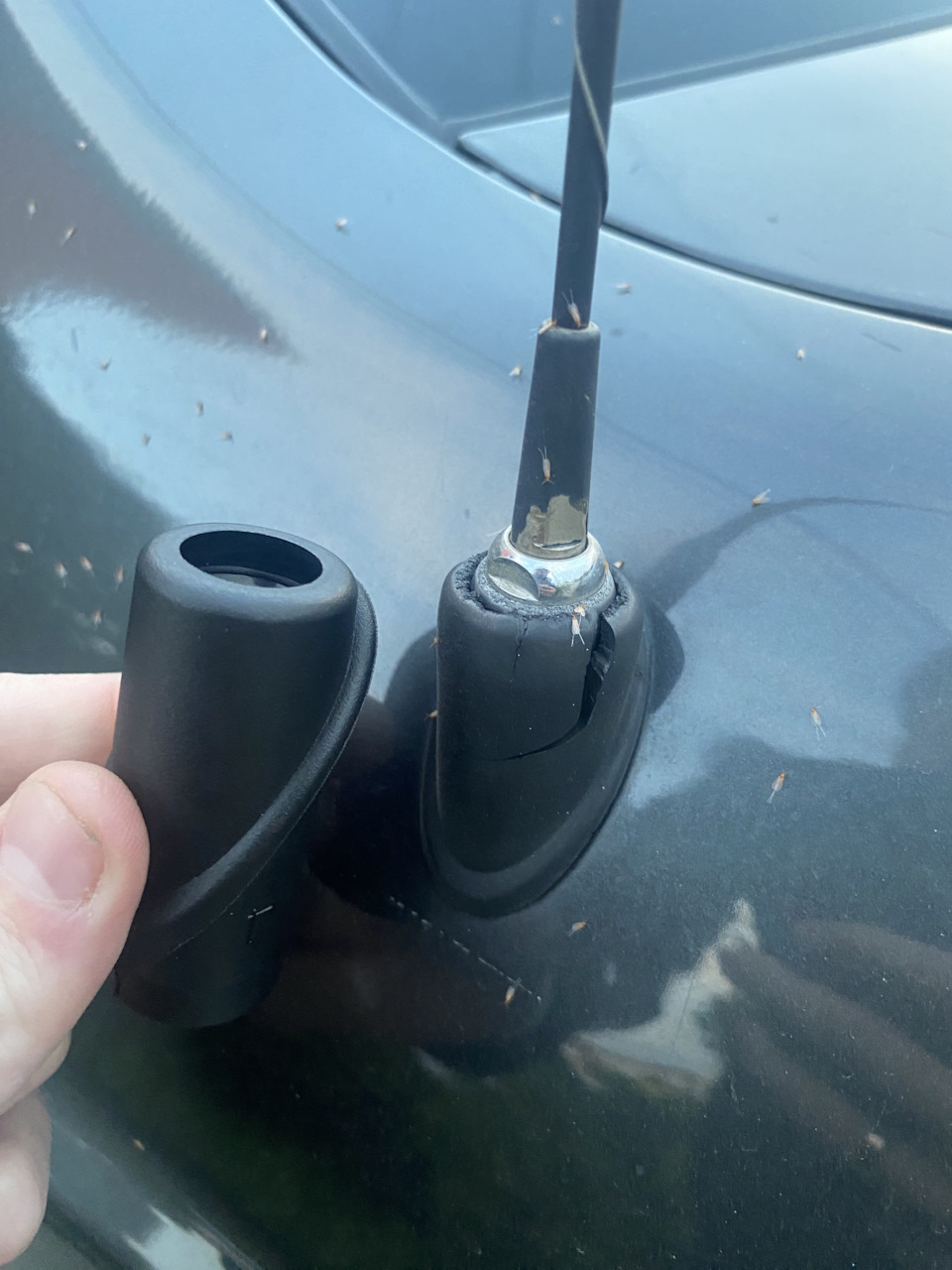 Как я менял резинку антенны на хундай акценте) — DRIVE2