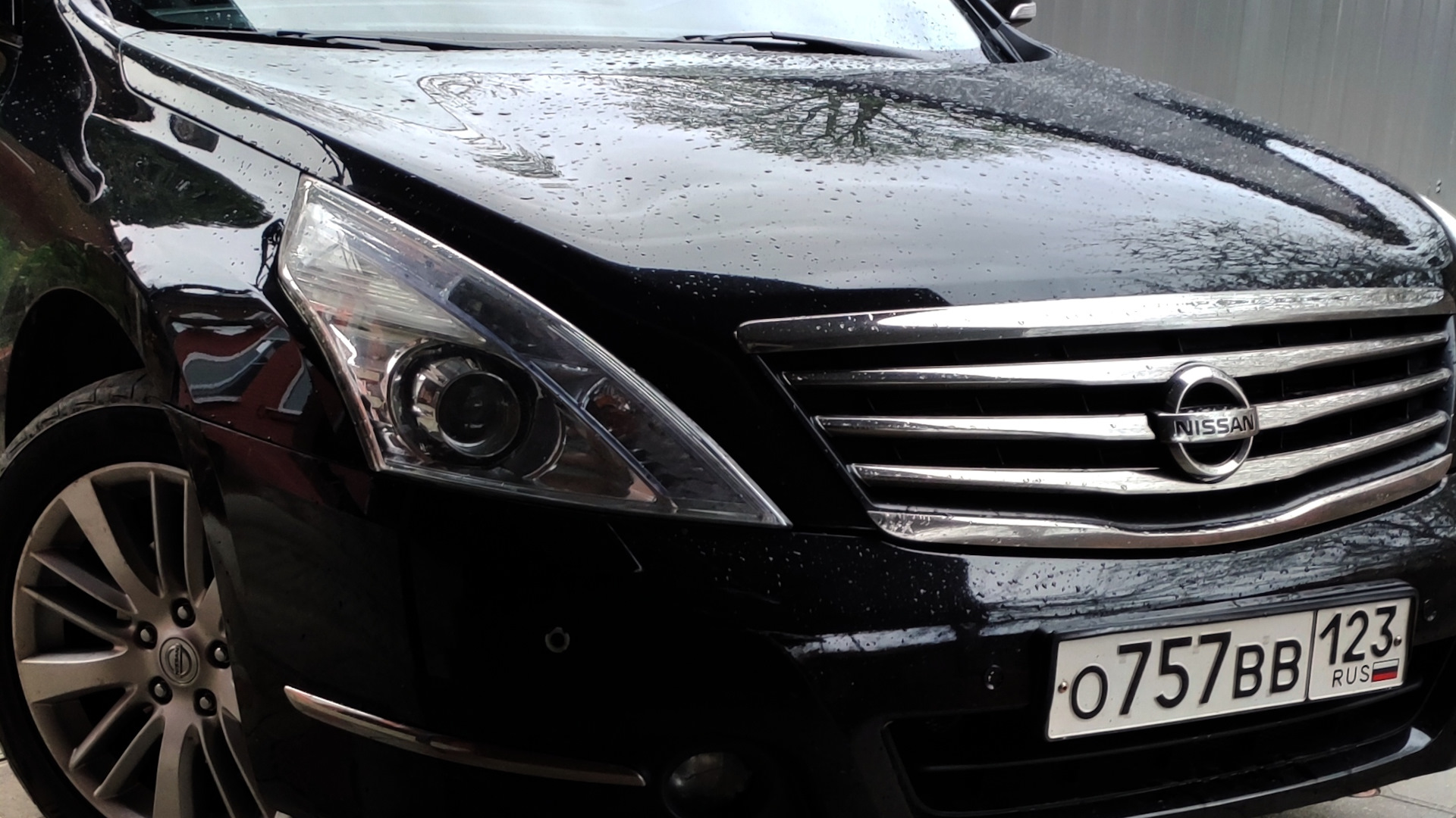 Nissan Teana (J32) 3.5 бензиновый 2011 | Black beauty на DRIVE2