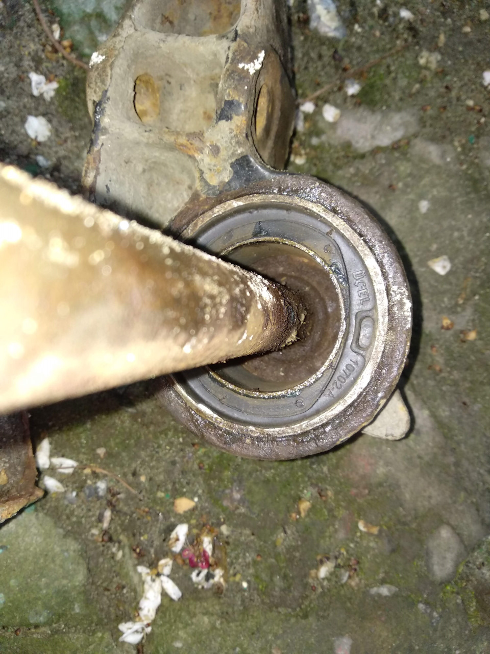 Сайлентблоки задней балки — DRIVE2